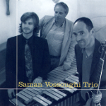 Saman Vossoughi Trio 2007